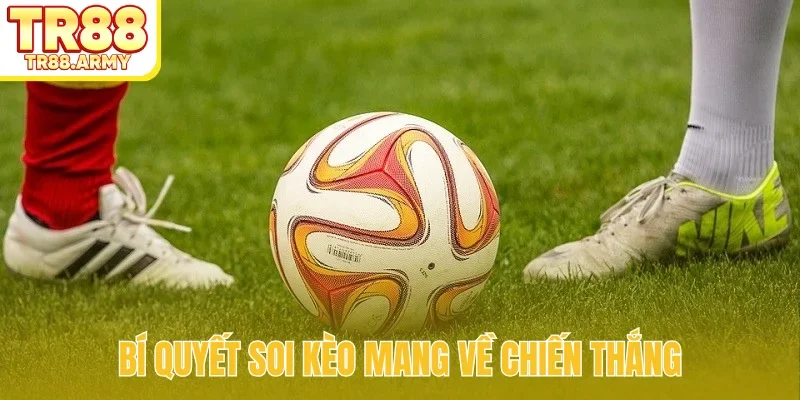 Yếu tố ảnh hưởng đến tỷ lệ chấp 1