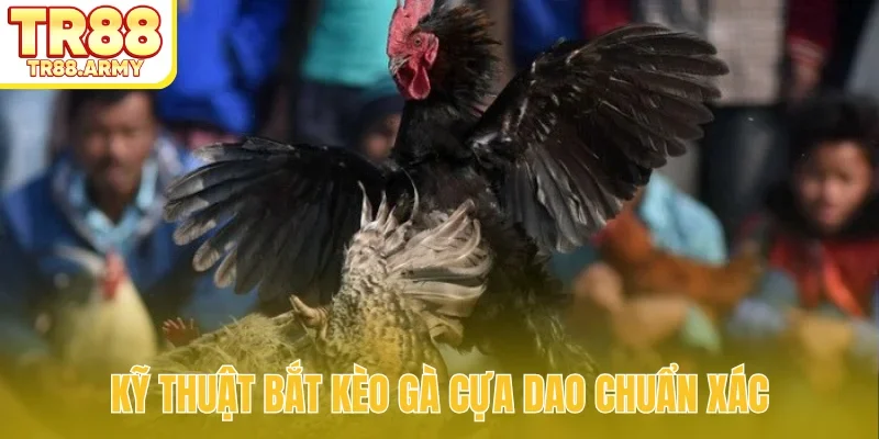 Kỹ thuật bắt kèo gà cựa dao chuẩn xác